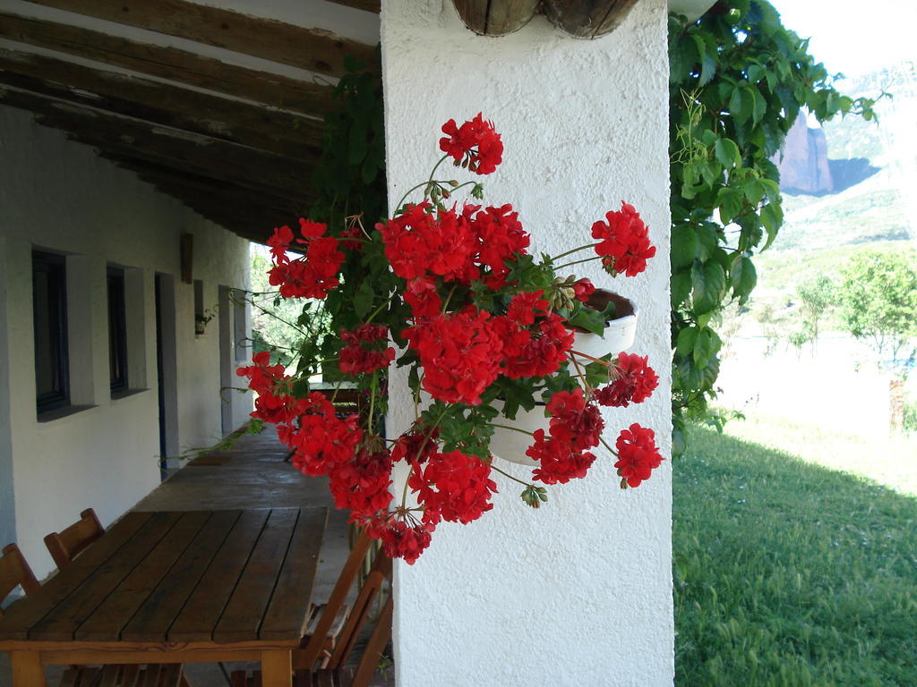 Camping Bungalows Armalygal Murillo de Gállego Room photo